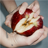 Disincanto - Sugar Music