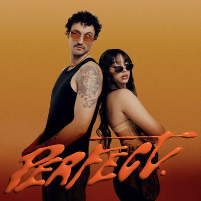 PERFECT - Warner Music Italy